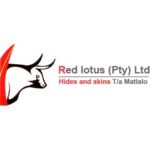 Red Lotus Botswana Sky Jobs Botswana » Sky Jobs