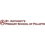 St Anthonys Primary School of Palapye Sky Jobs » Sky Jobs