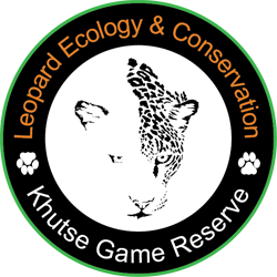 Leopard Ecology and Conservation is hiring now in Botswana » Sky Jobs