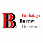 Bothakga Burrow Botswana upscayl 4x ultrasharp » Sky Jobs