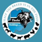 Tholo Holdings &raquo; Sky Jobs