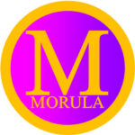morula tech solutions 3c6bc9f4 &raquo; Sky Jobs